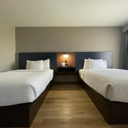 Hotel La Quinta By Wyndham Dallas Dfw Airport North à Irving Extérieur photo