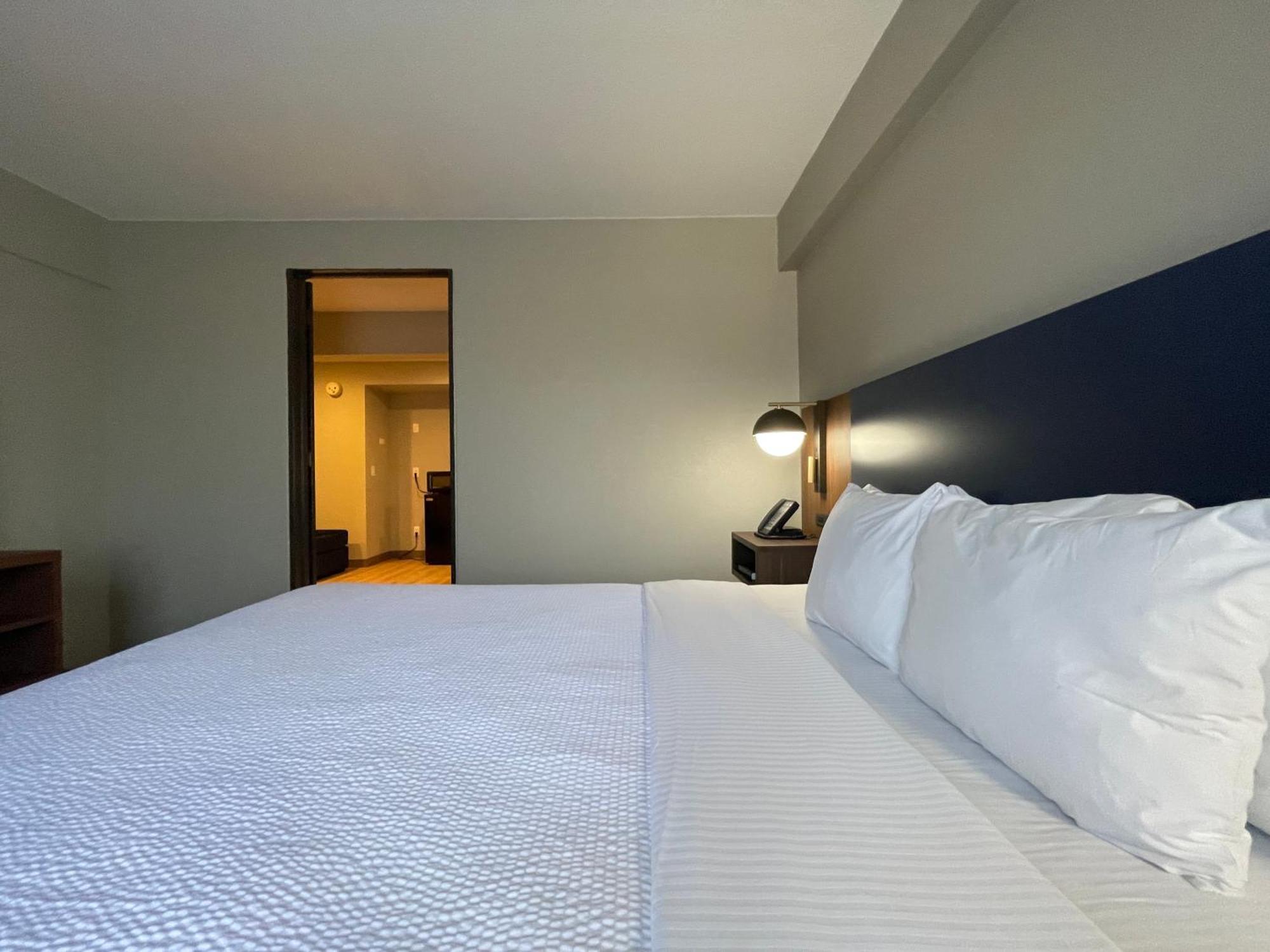 La Quinta By Wyndham Dallas Dfw Airport North Irving